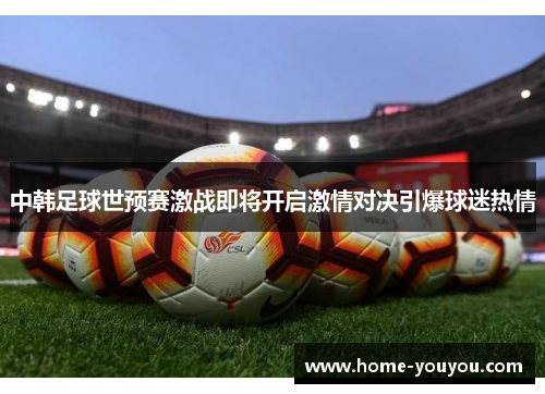 中韩足球世预赛激战即将开启激情对决引爆球迷热情