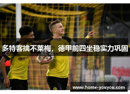 多特客擒不莱梅，德甲前四坐稳实力巩固